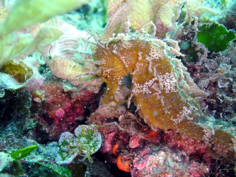 2012-09-17 12-21-34 Steven.jpg